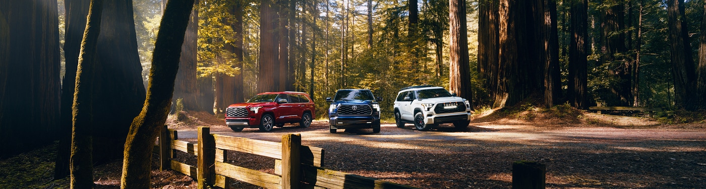 Toyota SUV Models parked in the forest