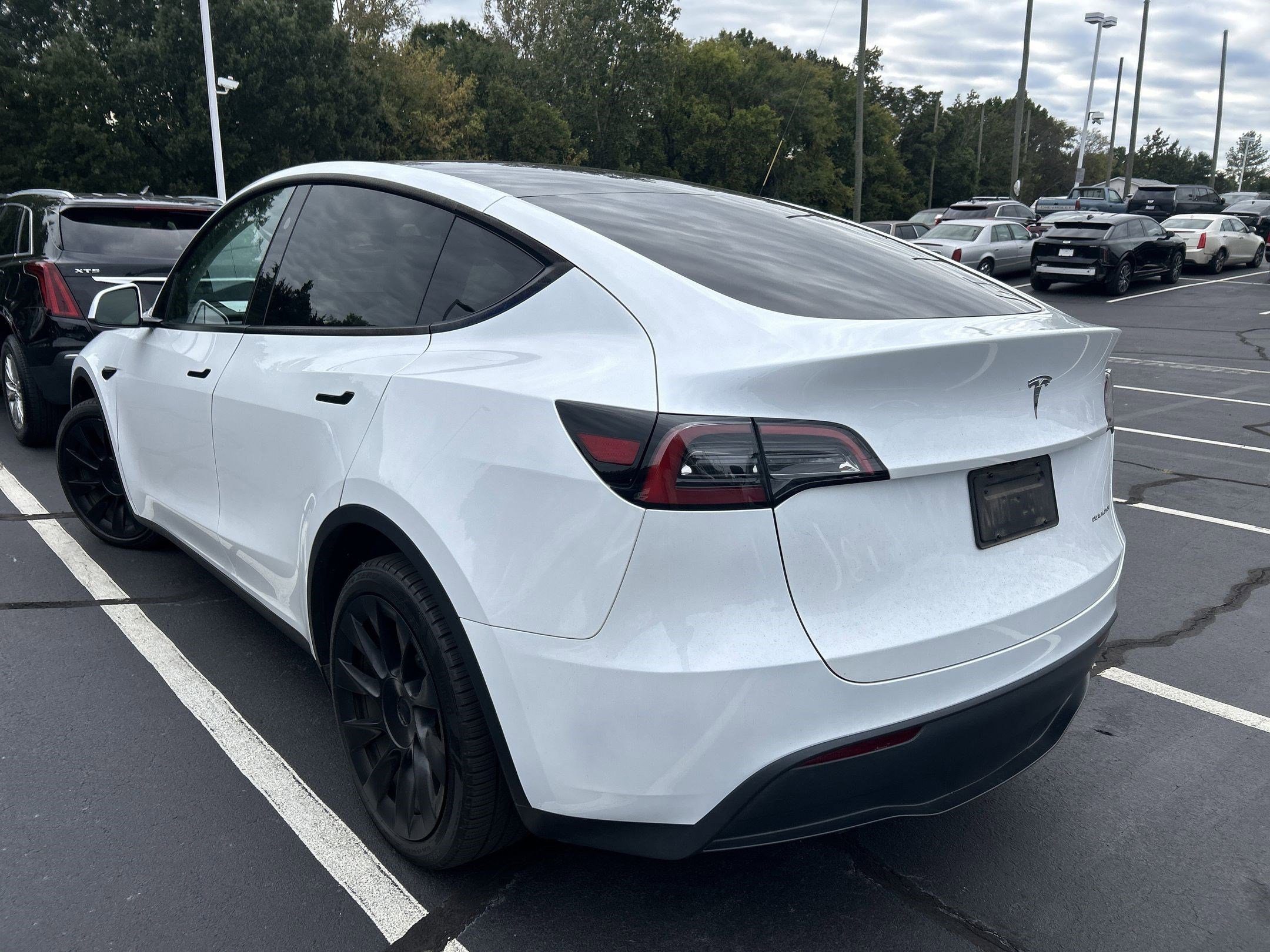 2023 Tesla Model Y Long Range photo 3