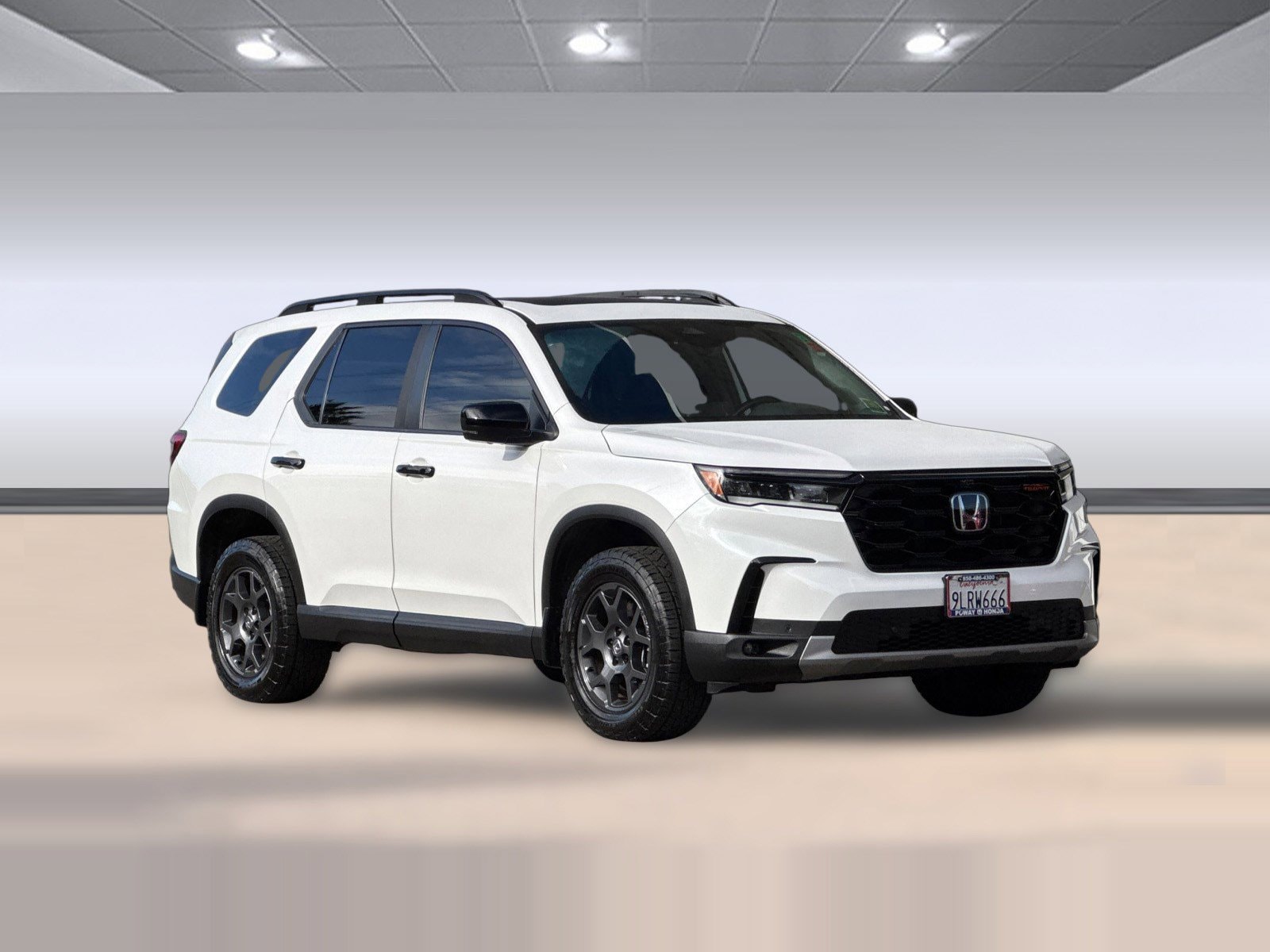 2025 Honda Pilot TrailSport photo 5