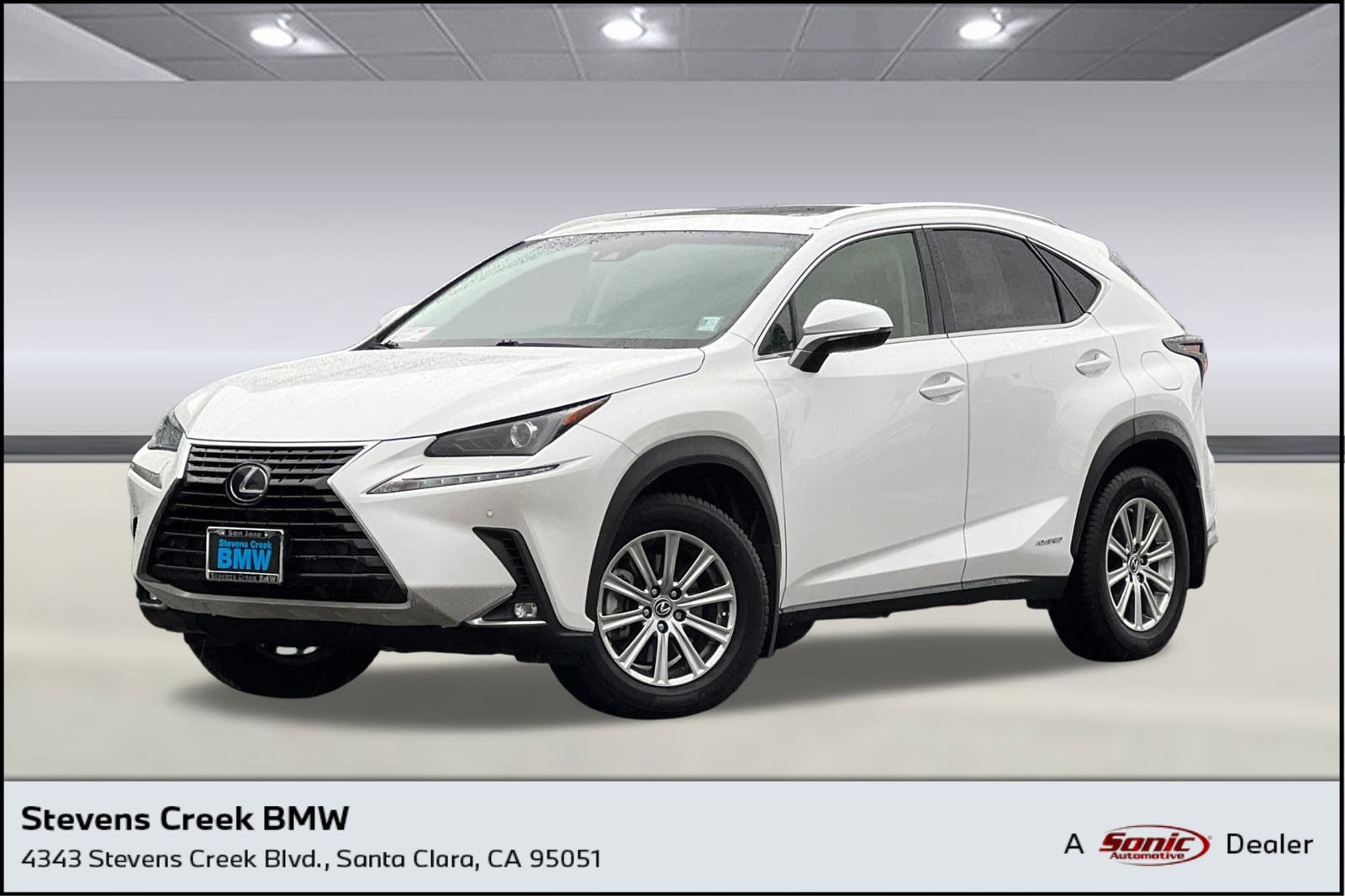 2019 Lexus NX Hybrid 300h's photo