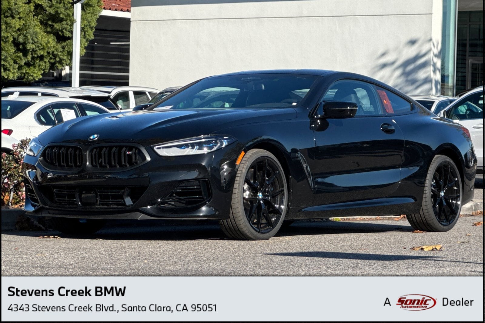 2026 BMW 8 Series M850i's photo