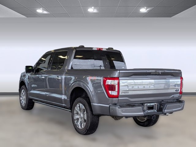 2021 Ford F-150 Platinum photo 3