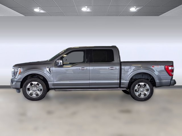 2021 Ford F-150 Platinum photo 2