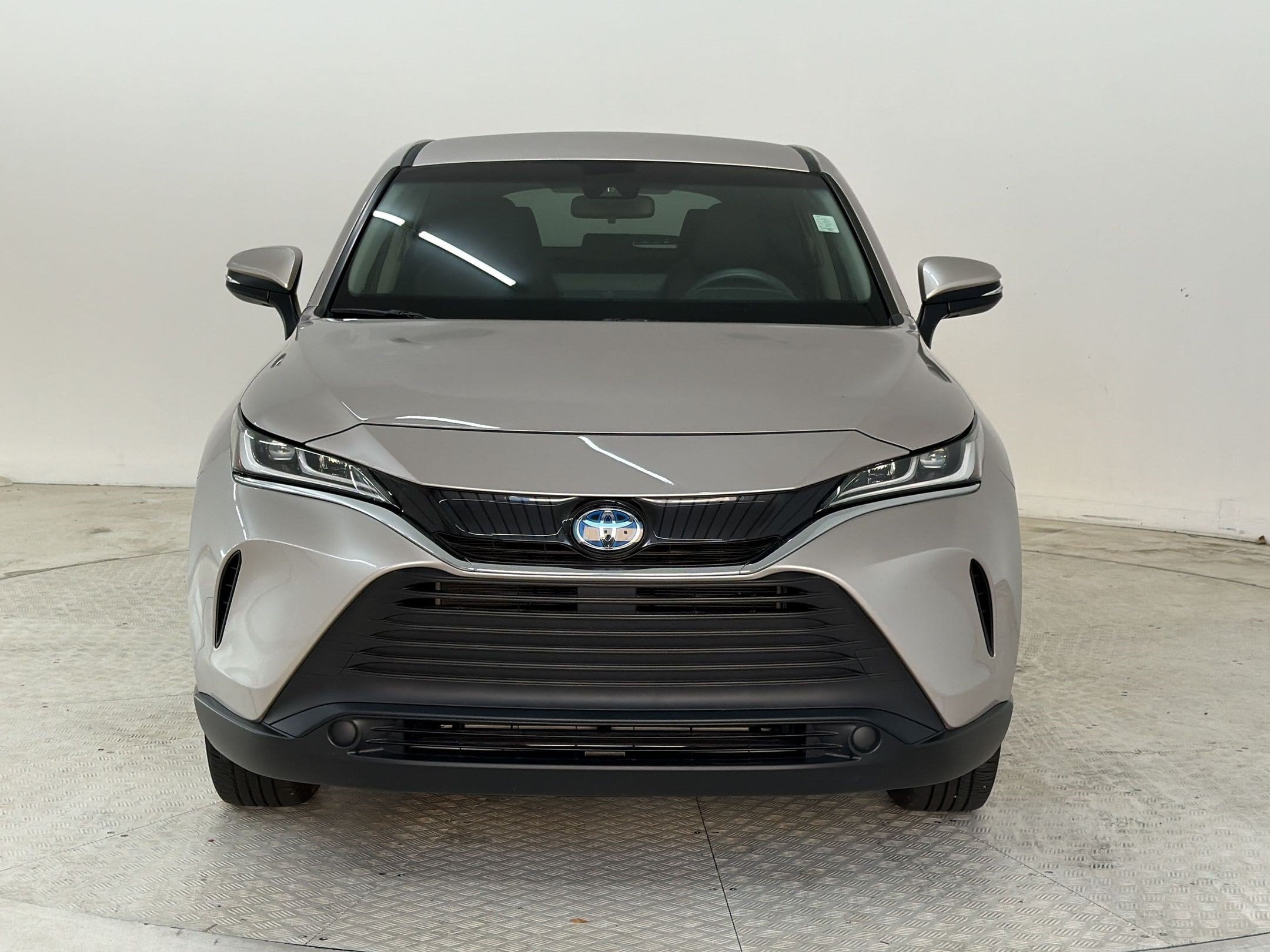 Venza LE SUV