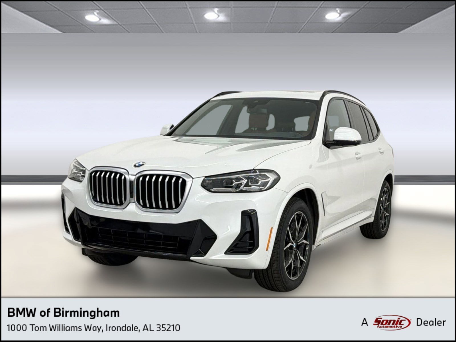 2023 BMW X3 xDrive30i's photo