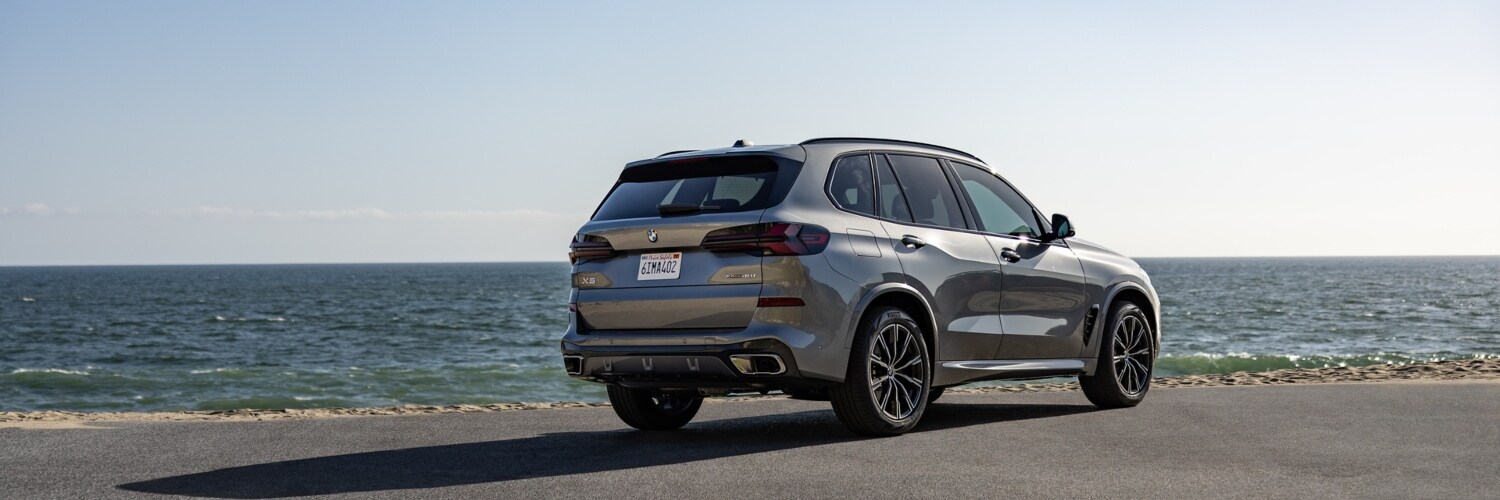 BMW X5 PHEV BMW X5 PHEV parked next to an ocean