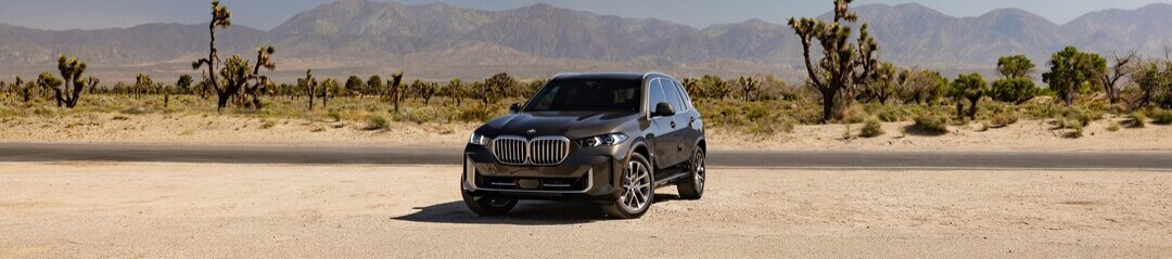 BMW X5 SUV