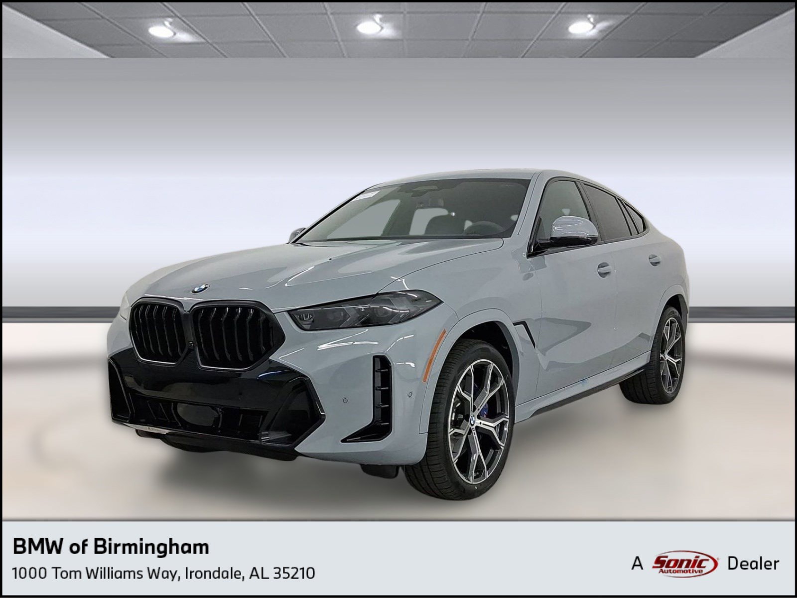 2026 BMW X6 xDrive40i's photo