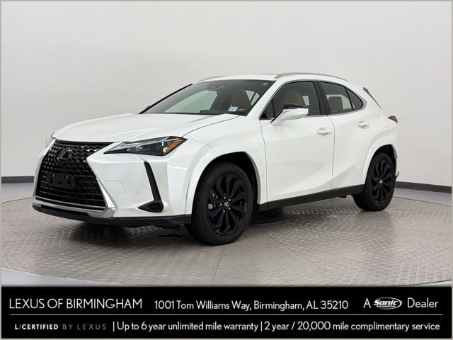 2024 Lexus UX 300h 250h Premium AWD's photo