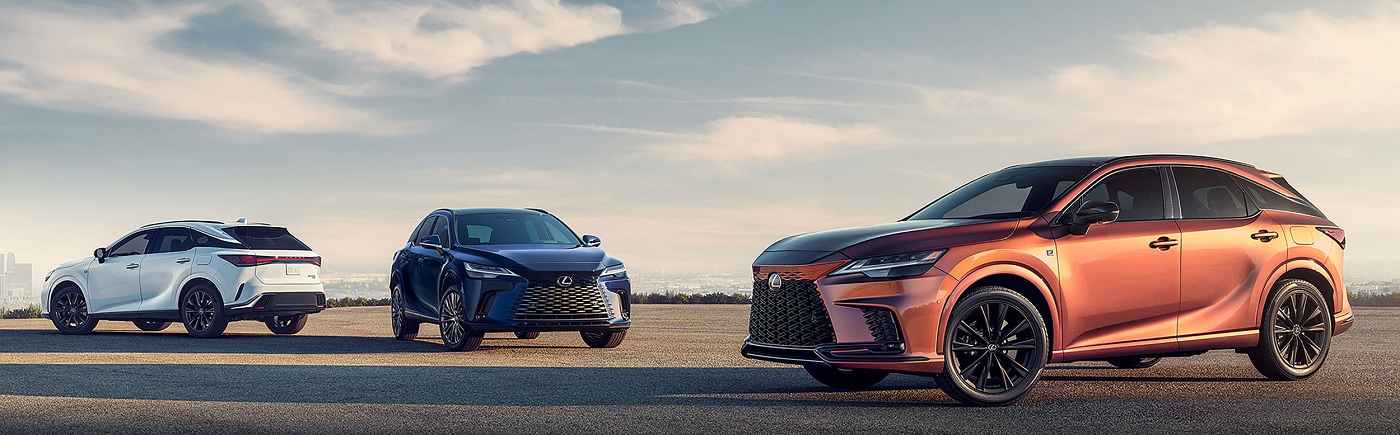 Lexus SUV Models parked at an overlook