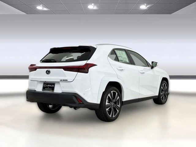 2026 Lexus UX Hybrid 300h Premium - Photo 9