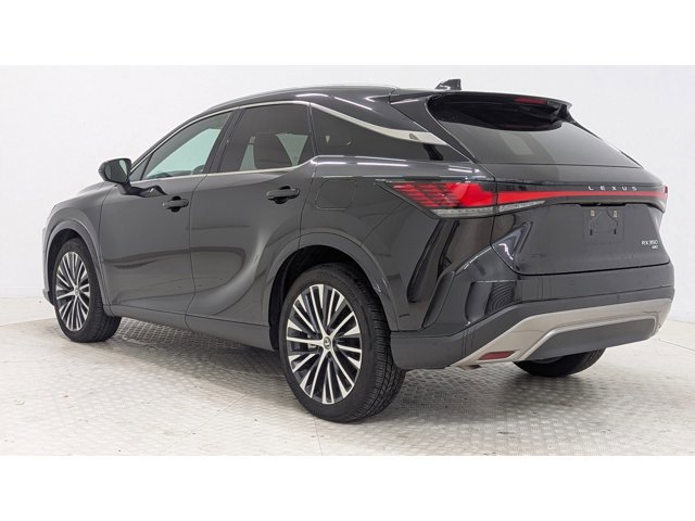 2023 Lexus RX 350h photo 3