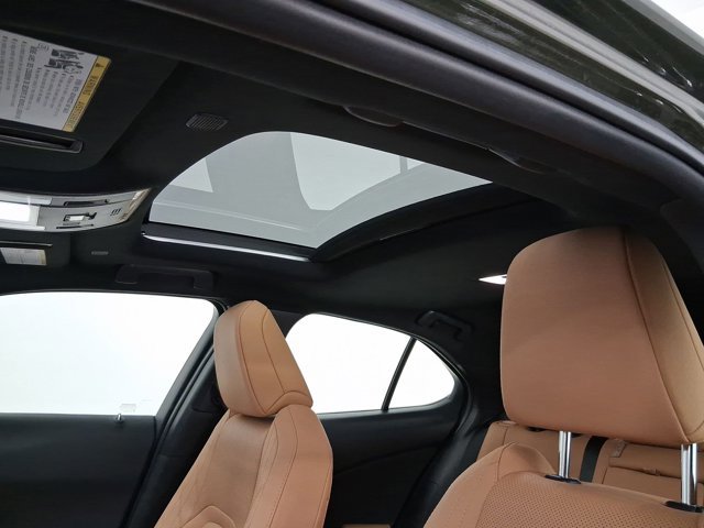 2024 Lexus UX 250h Premium - Photo 14