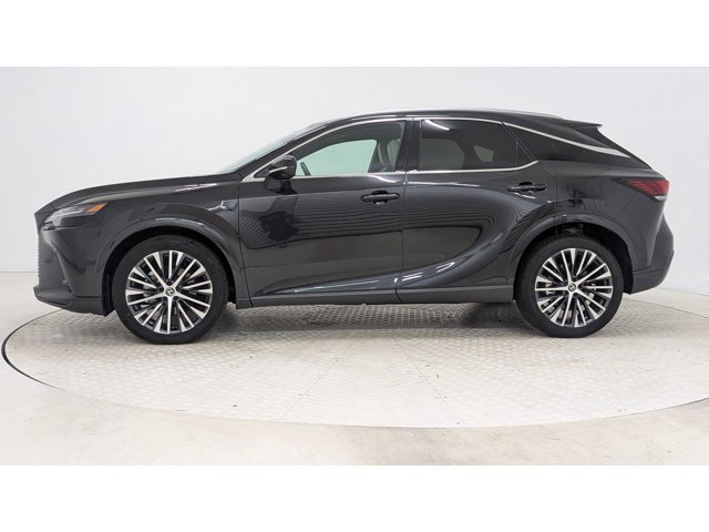 2023 Lexus RX 350h photo 2