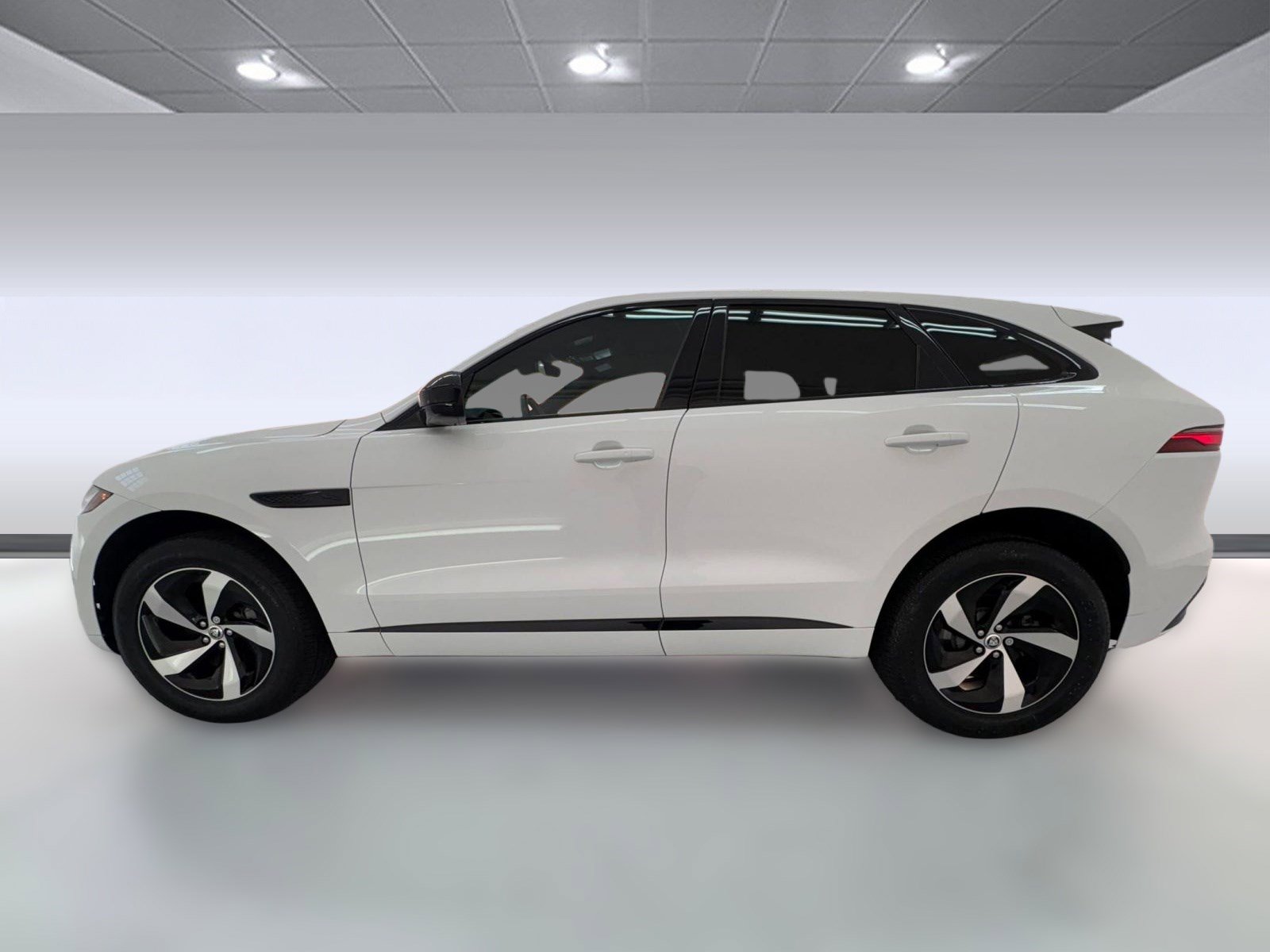 2024 Jaguar F-PACE P250 R-Dynamic S photo 2