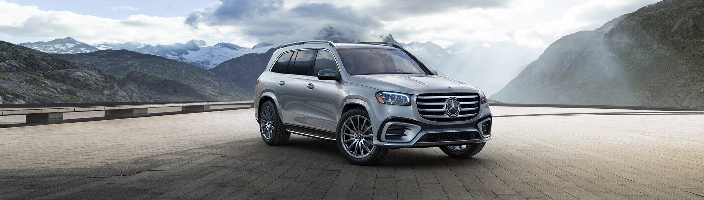 Mercedes-Benz GLS parked by a cliff overlook