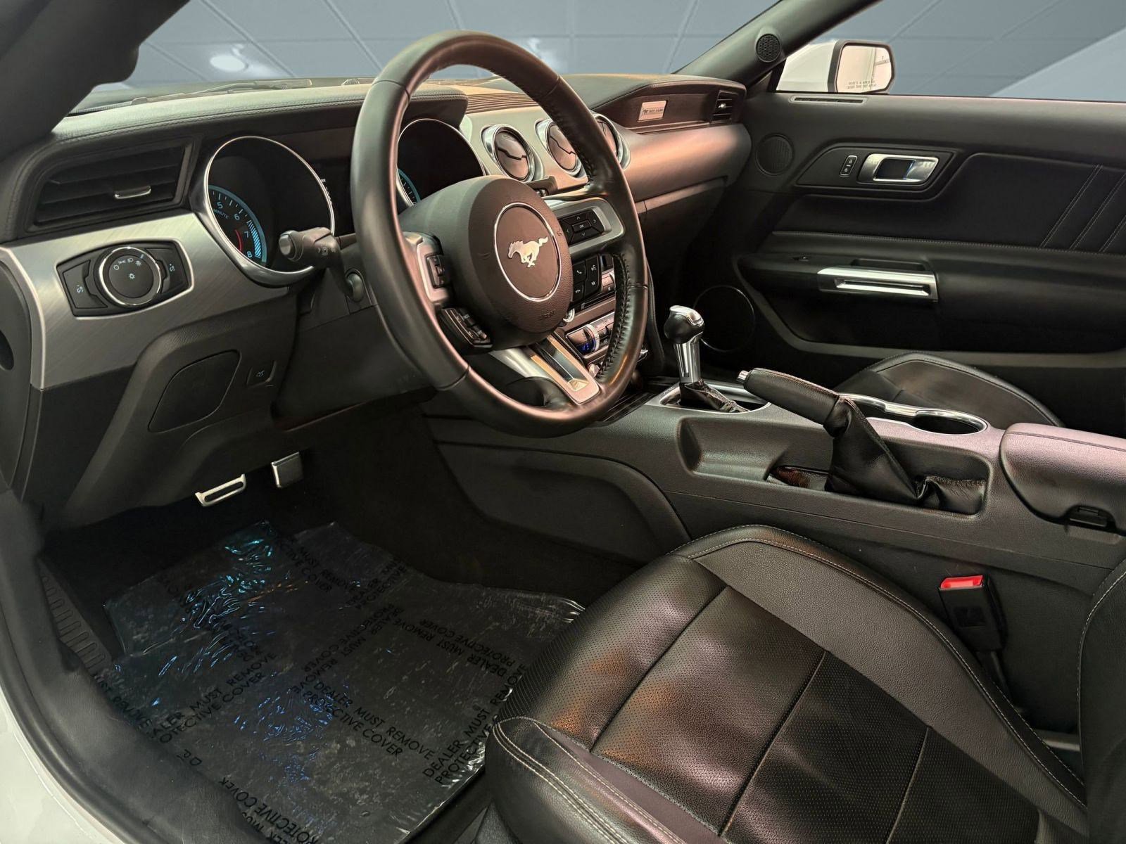 2023 Ford Mustang EcoBoost photo 4