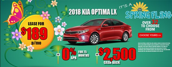 18optimasm.jpg
