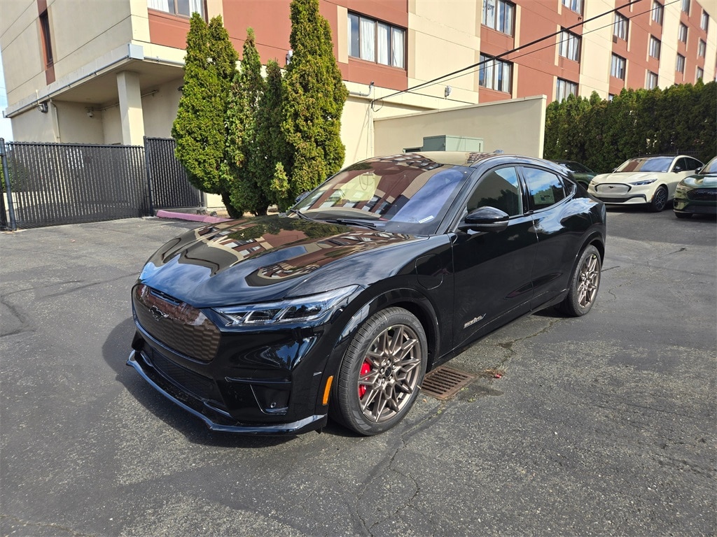 2025 Ford Mustang Mach-E GT AWD's photo