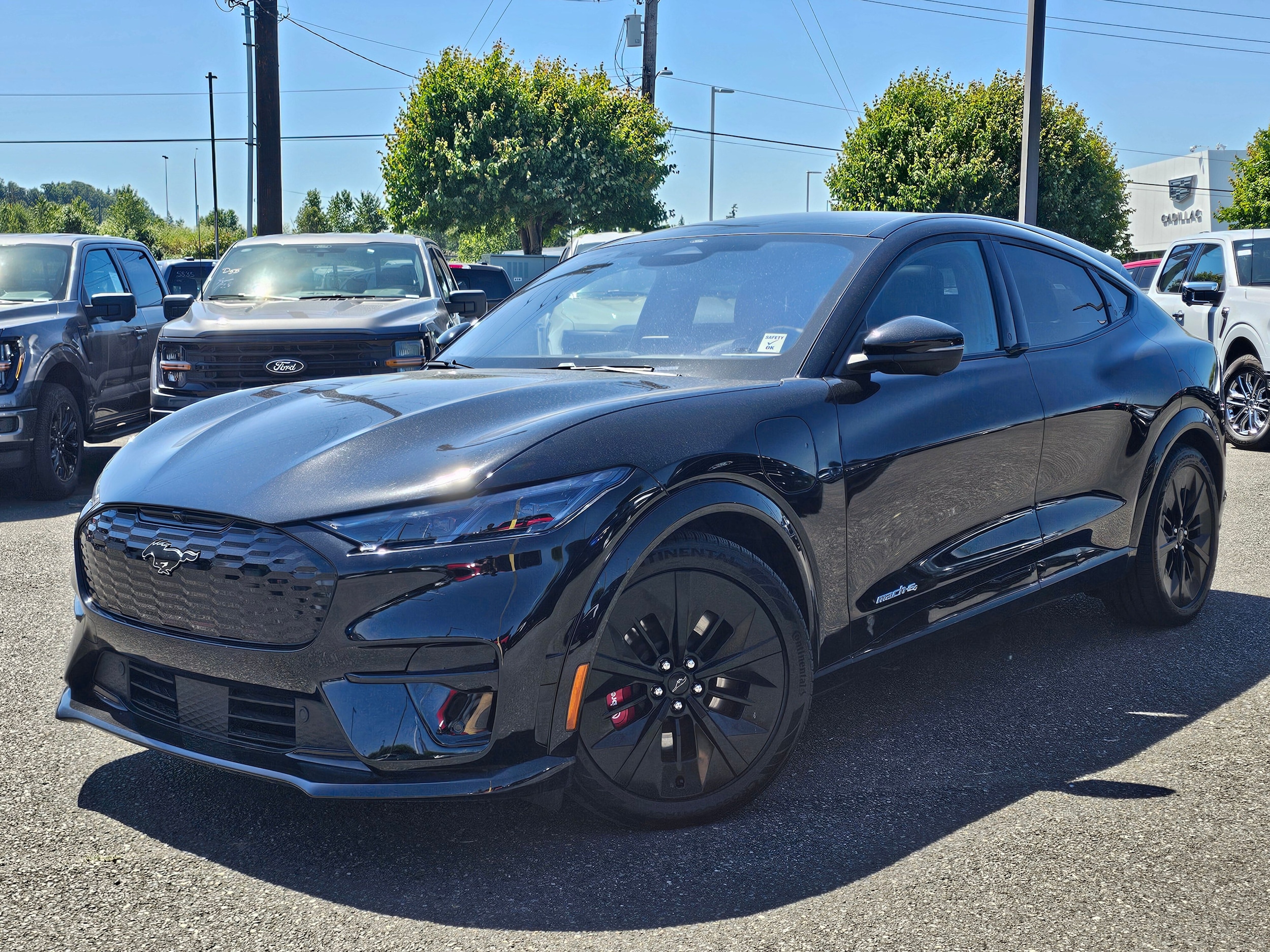 2025 Ford Mustang-Mach-e GT's photo