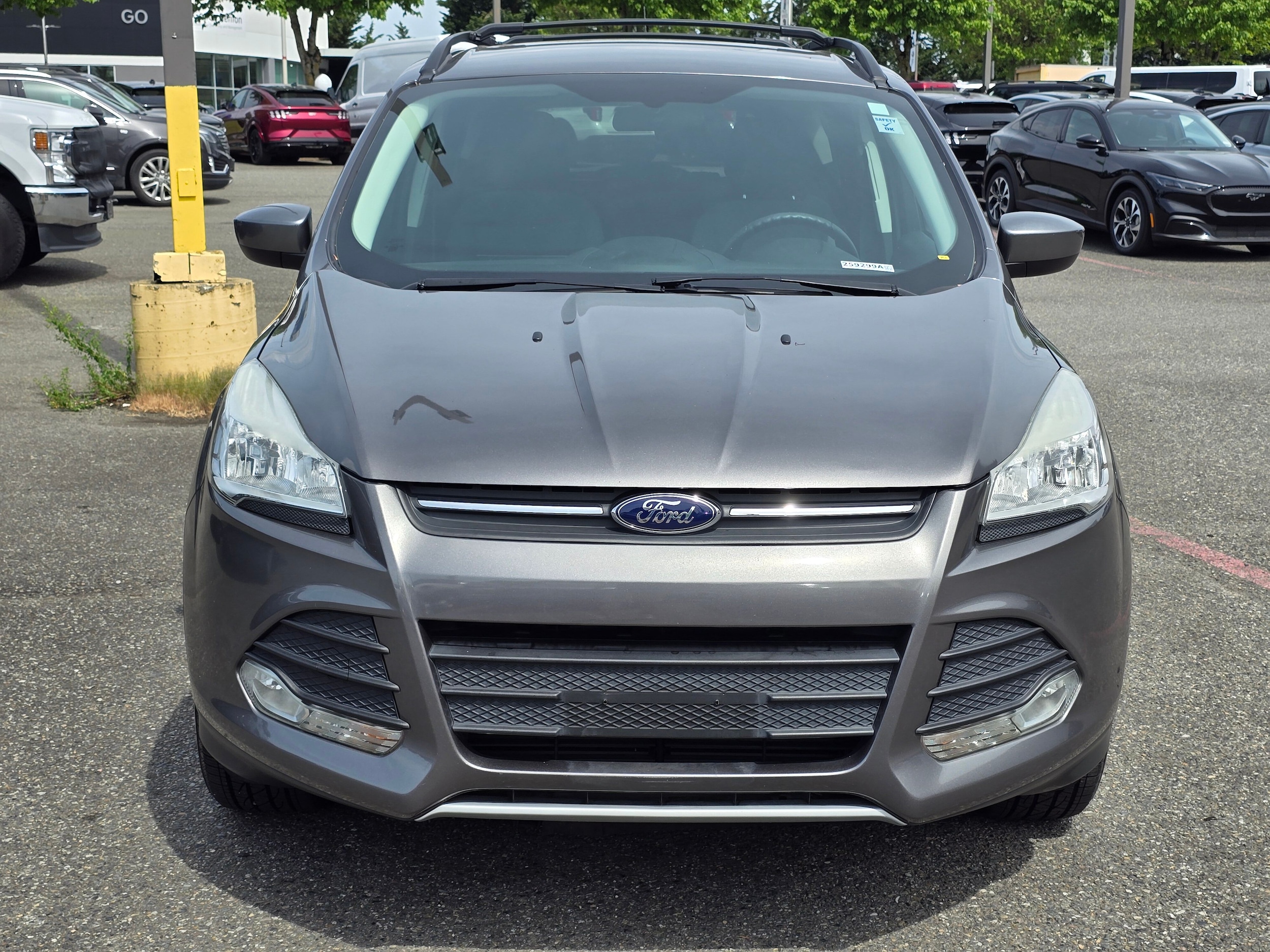 Used 2013 Ford Escape SE with VIN 1FMCU9GX1DUD02528 for sale in Renton, WA