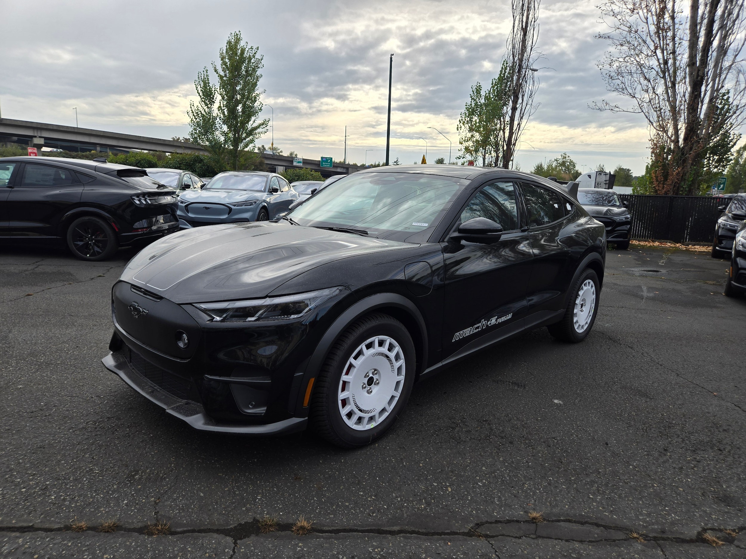 2025 Ford Mustang-Mach-e GT's photo
