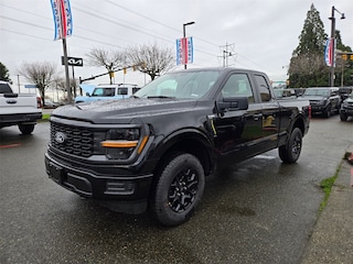 2025 Ford F-150 STX Truck