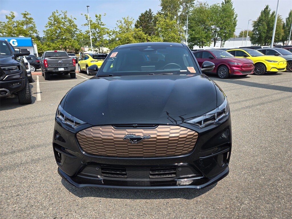2024 Ford Mustang Mach-E GT photo 2