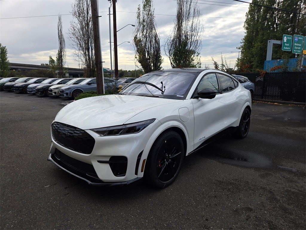 2025 Ford Mustang Mach-E GT AWD's photo