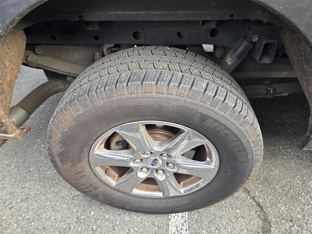 Used 2019 Ford F-150 XLT Truck