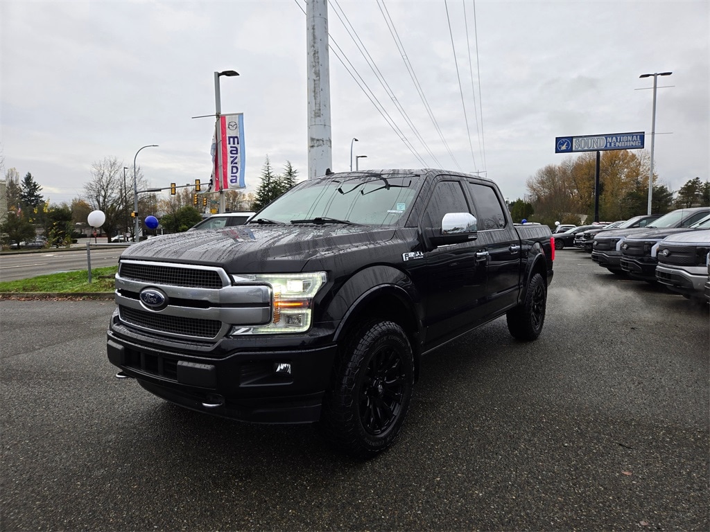 2019 Ford F-150 Platinum's photo