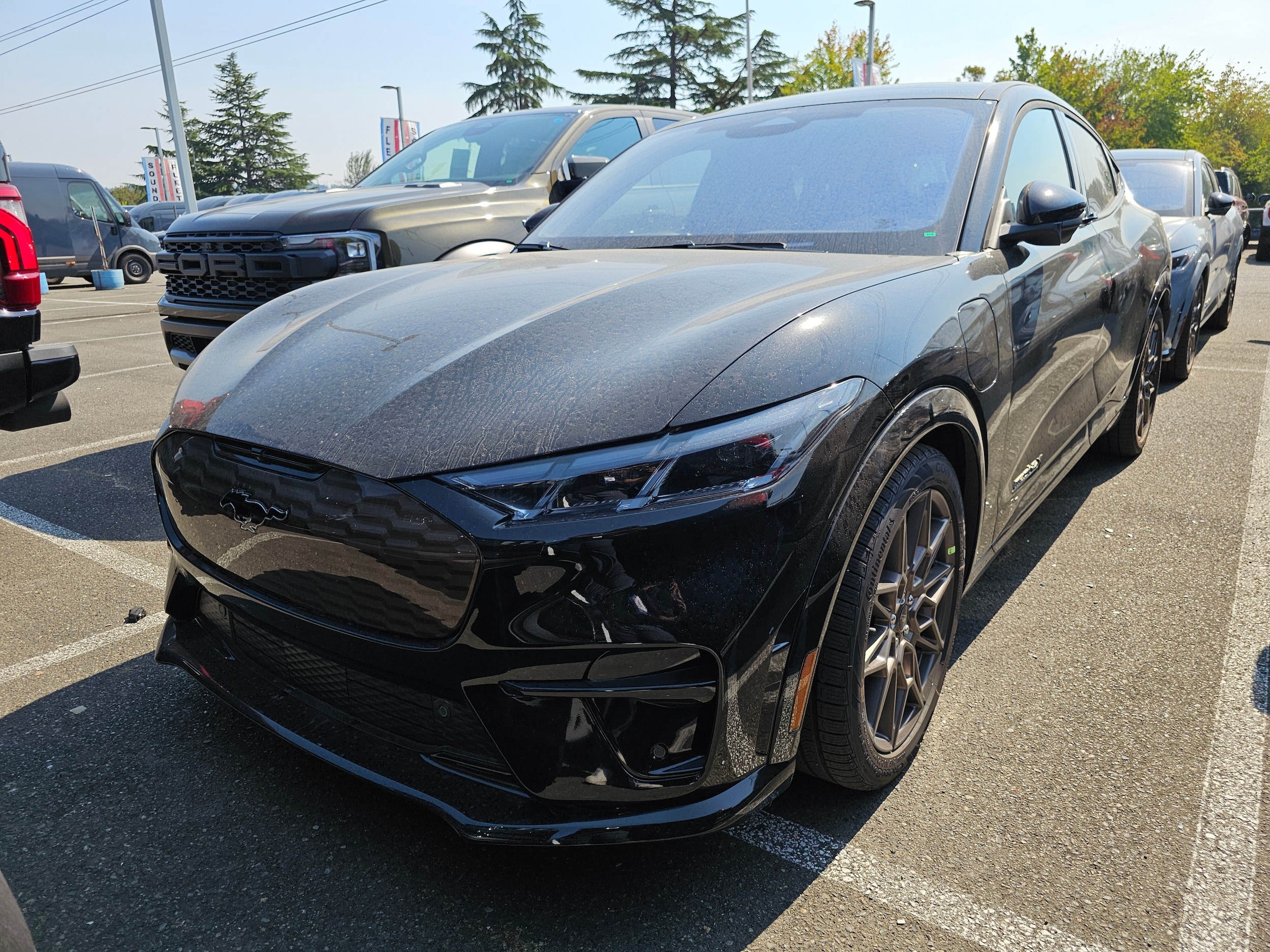 2025 Ford Mustang-Mach-e GT's photo