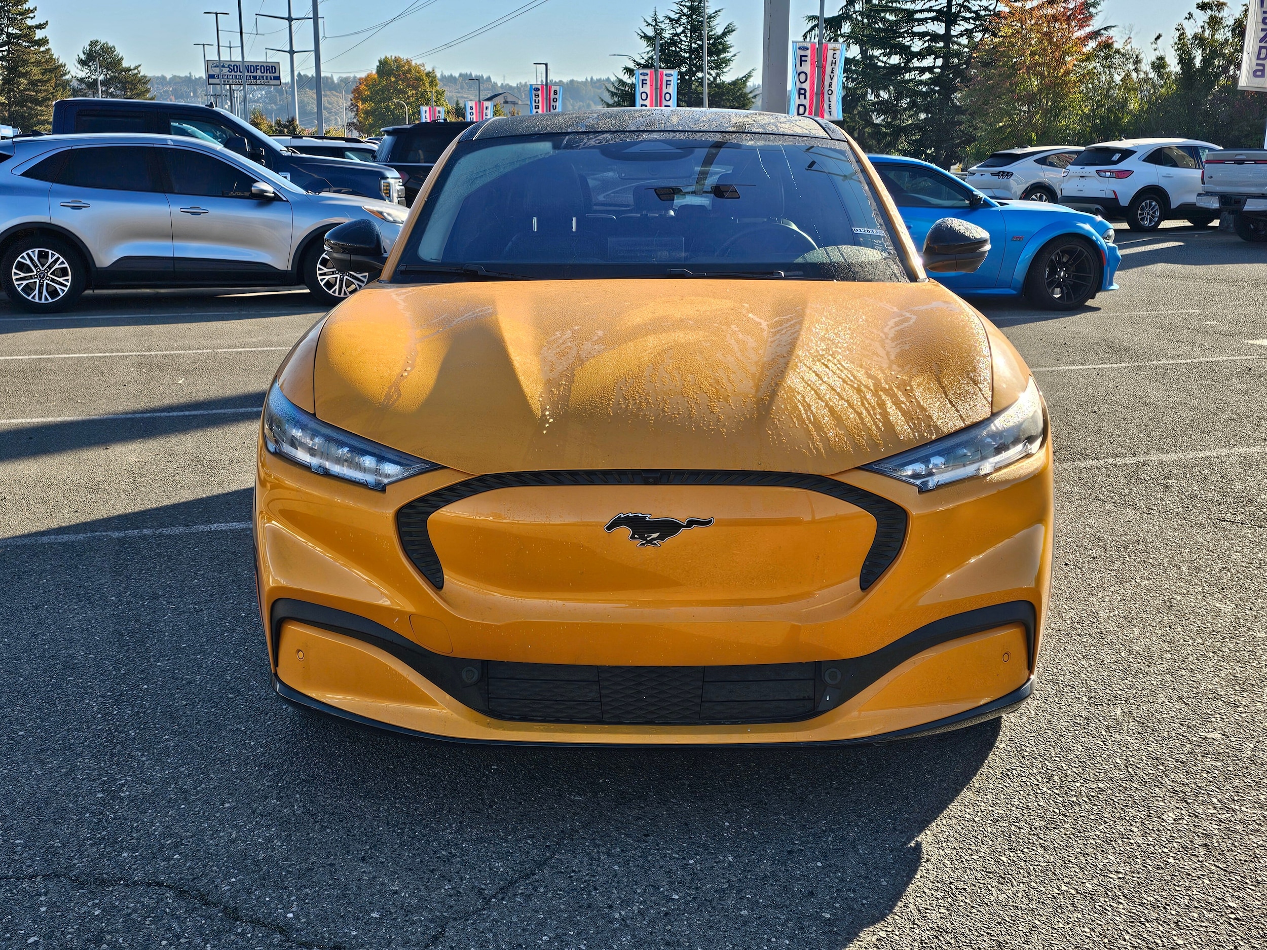 Used 2023 Ford Mustang Mach-E California Route 1 AWD with VIN 3FMTK2SU3PMA19289 for sale in Renton, WA
