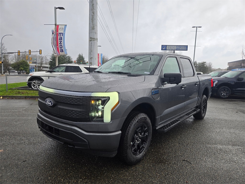 2025 Ford F-150 Lightning XLT's photo