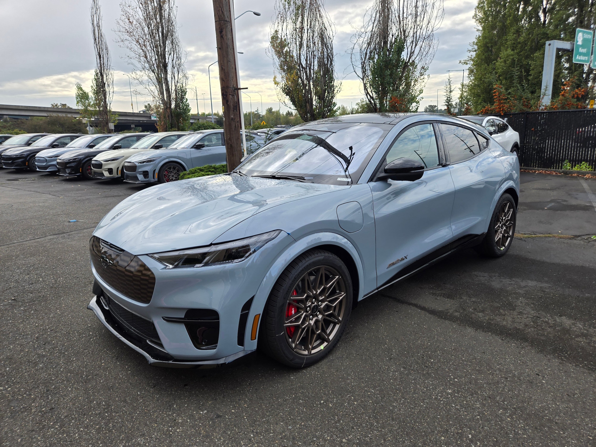 2025 Ford Mustang-Mach-e GT's photo