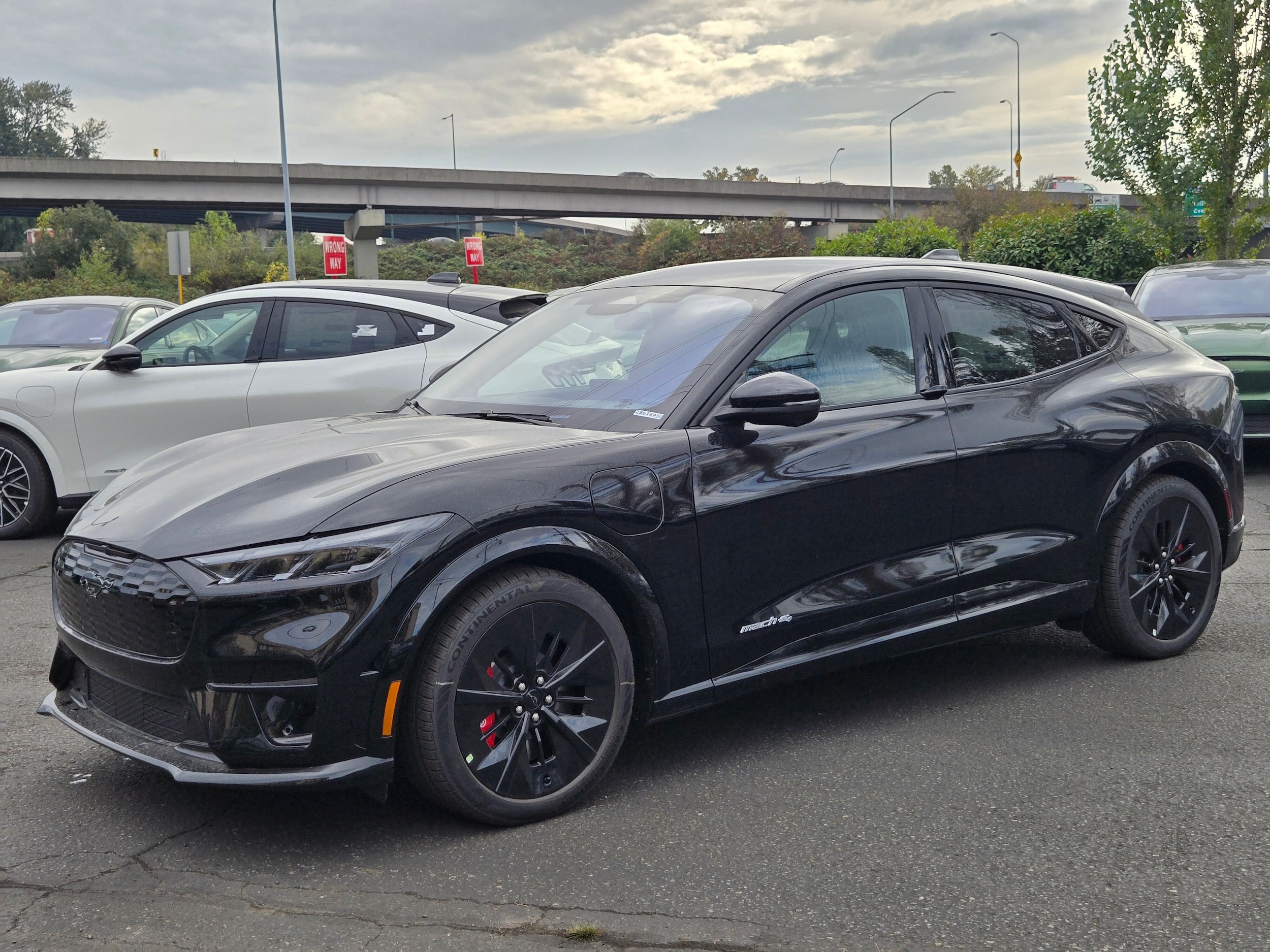 2025 Ford Mustang-Mach-e GT's photo
