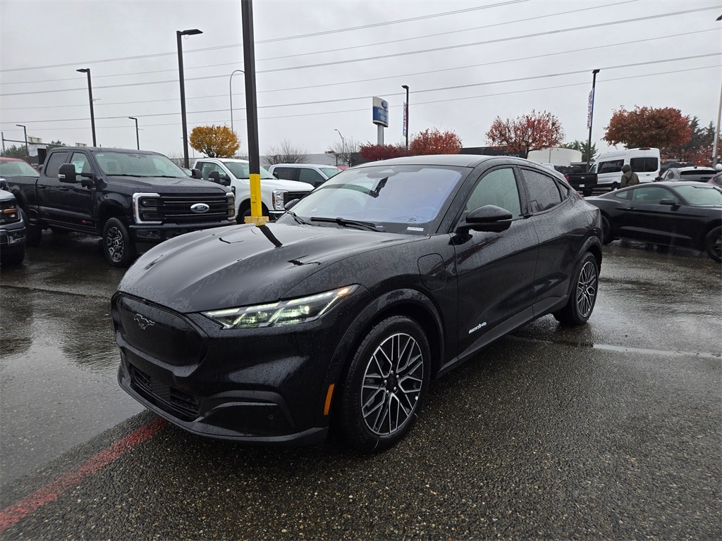 2025 Ford Mustang Mach-E Premium AWD's photo