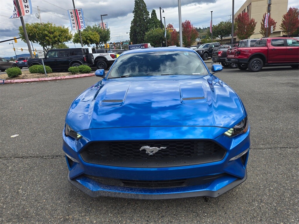 2019 Ford Mustang EcoBoost photo 2