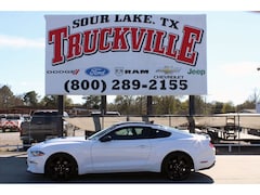 2022 Ford Mustang Ecoboost Coupe