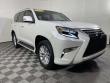 Used 2023 Lexus GX 460  SUV