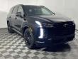 New 2025 Hyundai Palisade Calligraphy Night Edition AWD SUV