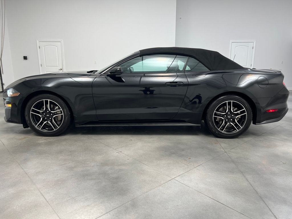 2023 Ford Mustang EcoBoost Premium Convertible photo 3