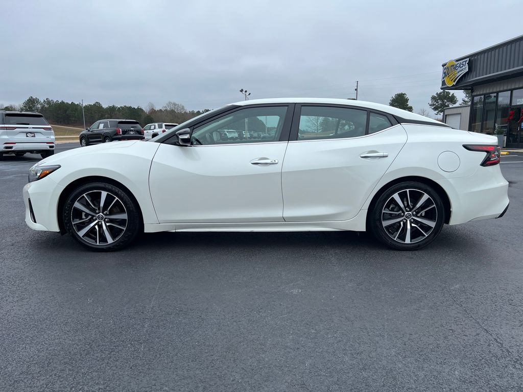 2023 Nissan Maxima SV photo 3