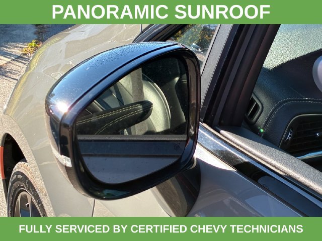 2025 Chrysler Pacifica Limited - Photo 19