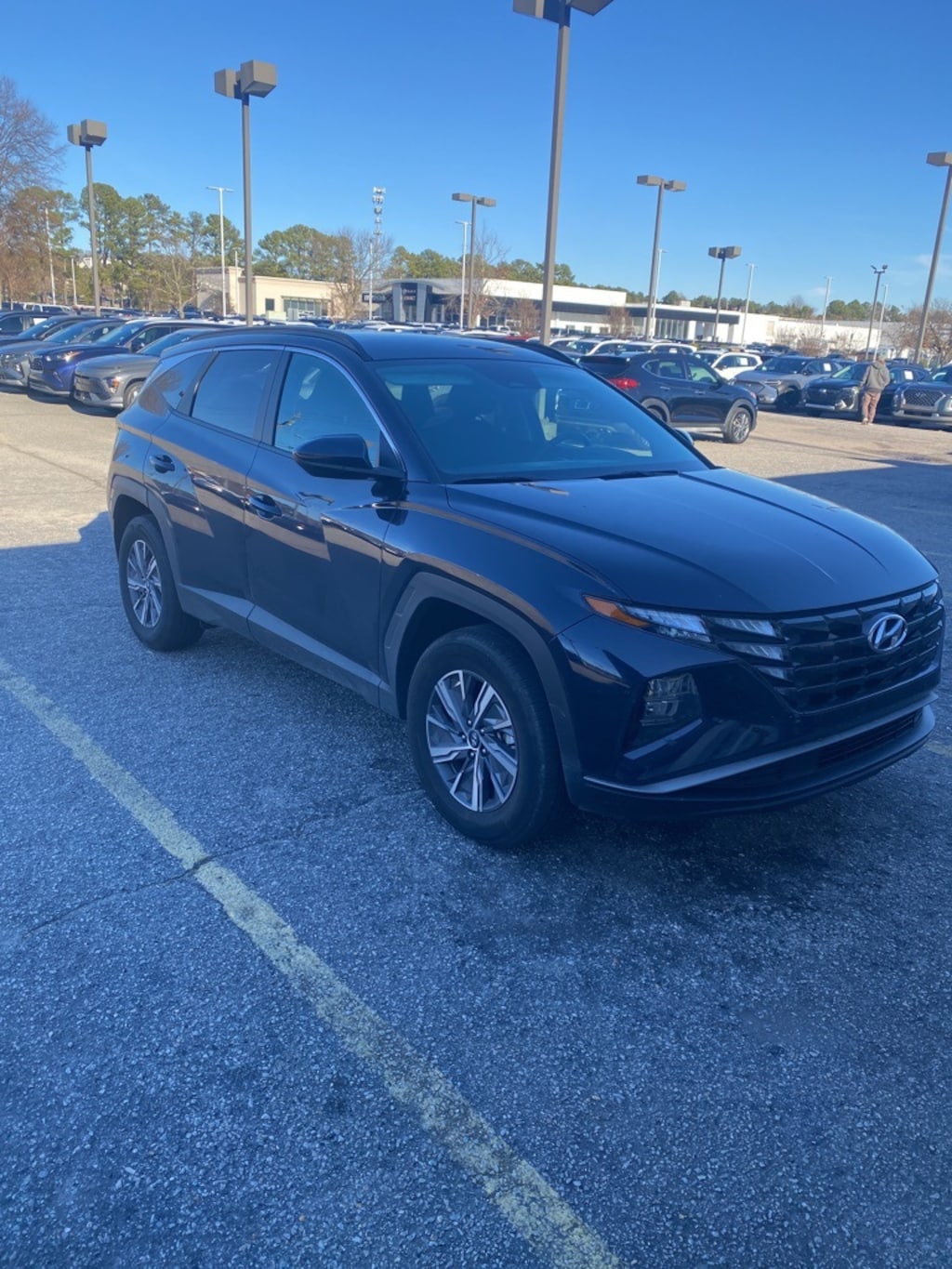 Used 2024 Hyundai Tucson Hybrid Blue SUV