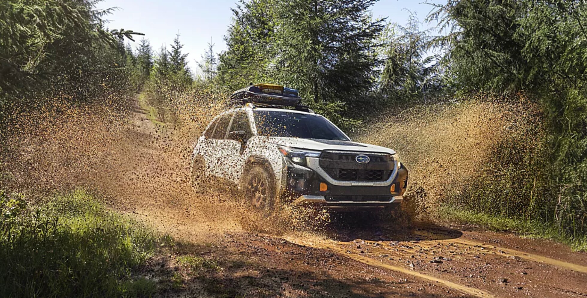 New Subaru Forester for sale near Durham, NC at Southern States Subaru
