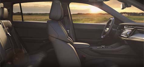 Take Your Senses for a Spin