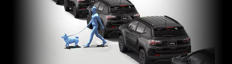 pedestrian and cyclist detection with automatic braking