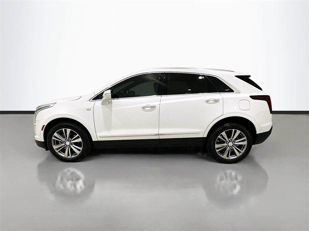 2024 Cadillac XT5 Premium Luxury photo 2