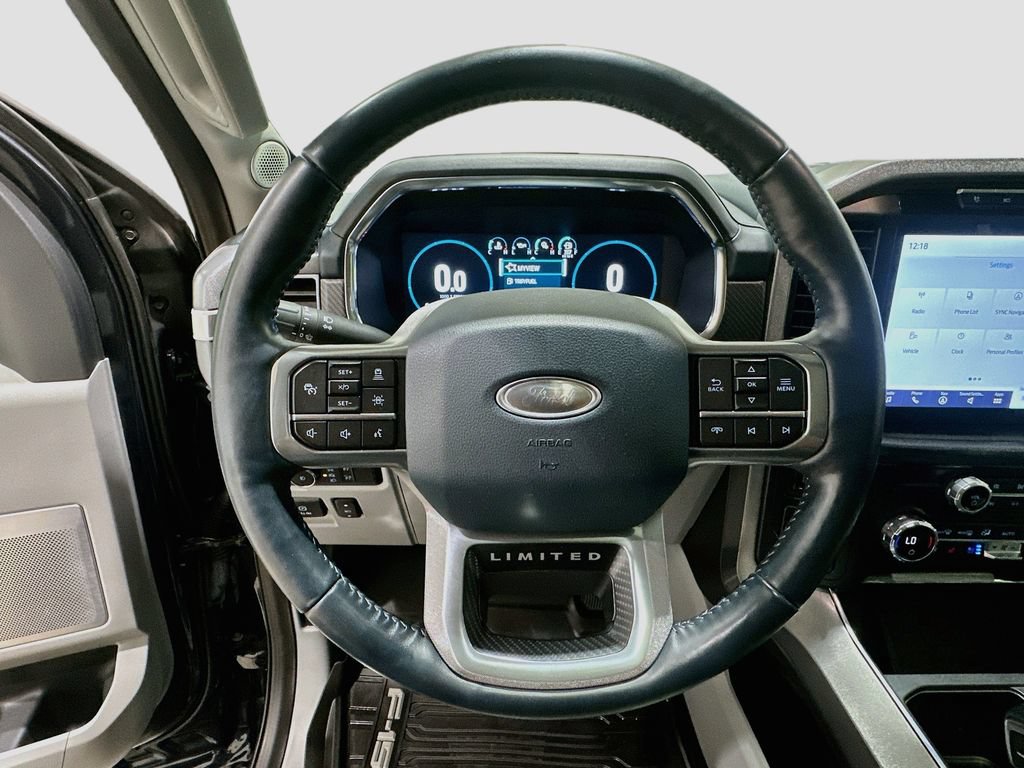 2021 Ford F-150 Limited - Photo 11